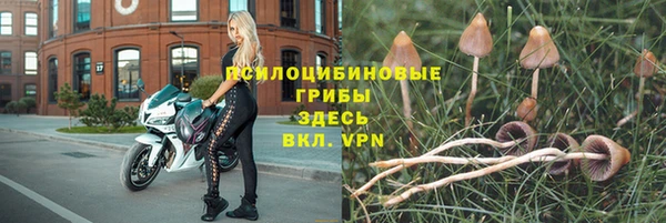 скорость Корсаков