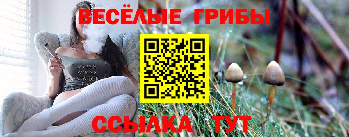 Псилоцибиновые грибы прущие грибы  продажа наркотиков  Мариинск  Вход с VPN 